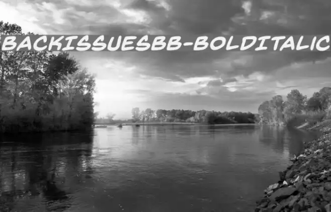 BackIssuesBB-BoldItalic Example 3