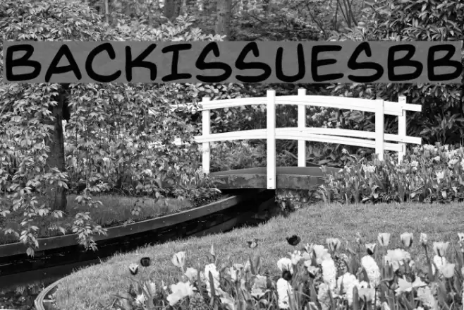 BackIssuesBB Font examples