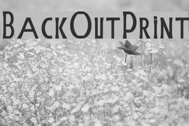BackOutPrint Font examples