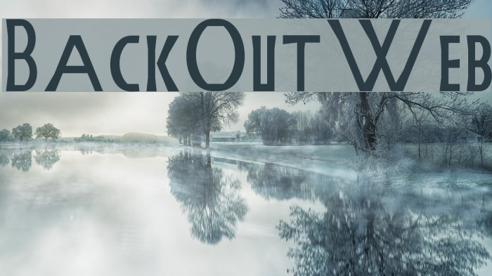 BackOutWeb Example 1