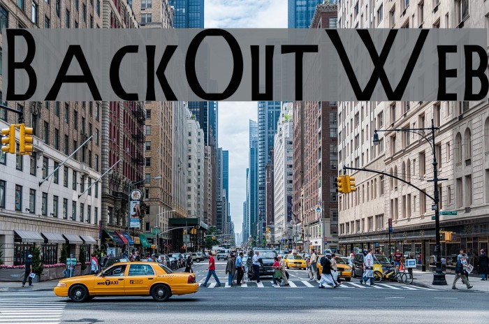 BackOutWeb Example 2