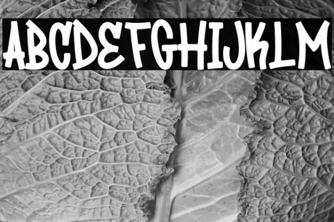 BackPeace Шрифта examples