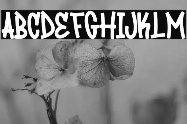 BackPeace Шрифта examples