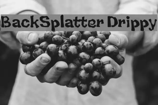 BackSplatter Drippy Fuentes examples