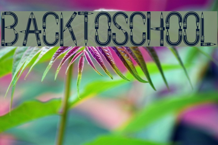 BackToSchool لخطوط تنزيل examples