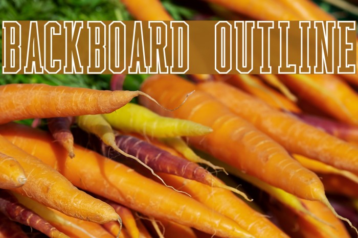 Backboard Outline Font examples