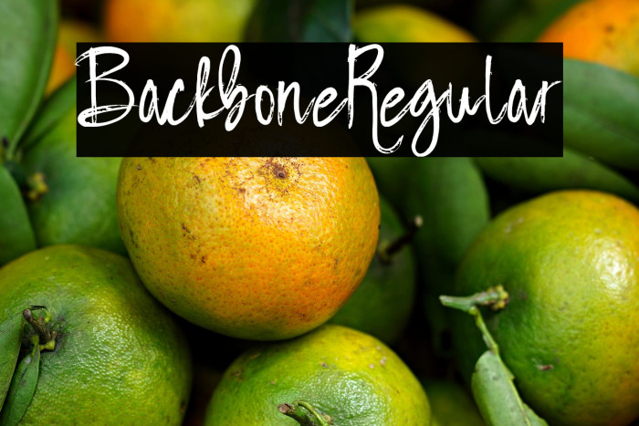 BackboneRegular Example 2