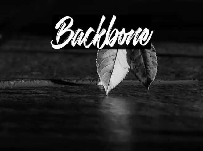Backbone Example 1