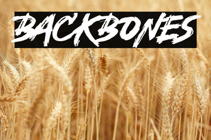 Backbones Example 3