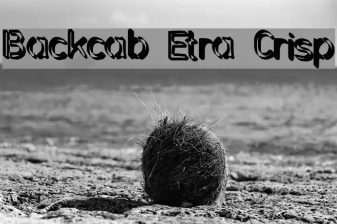 Backcab Extra Crispy Шрифта examples