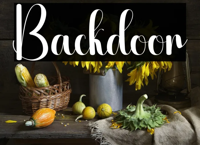 Backdoor Example 2