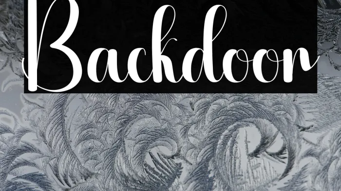 Backdoor Example 3
