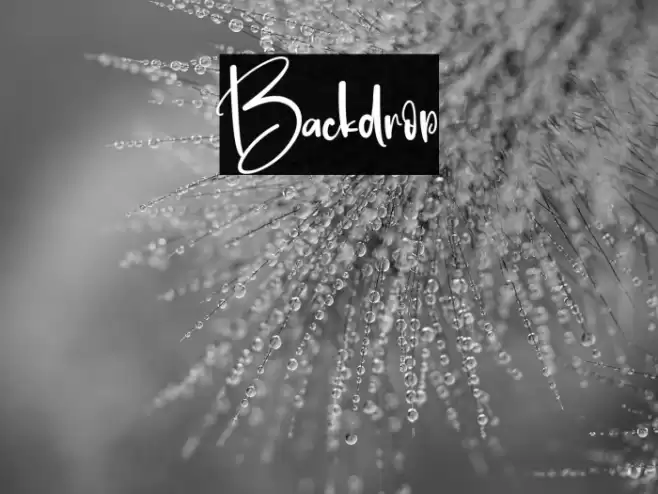 Backdrop خط examples