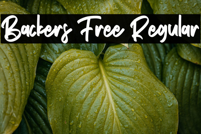 Backers Free Regular Example 2