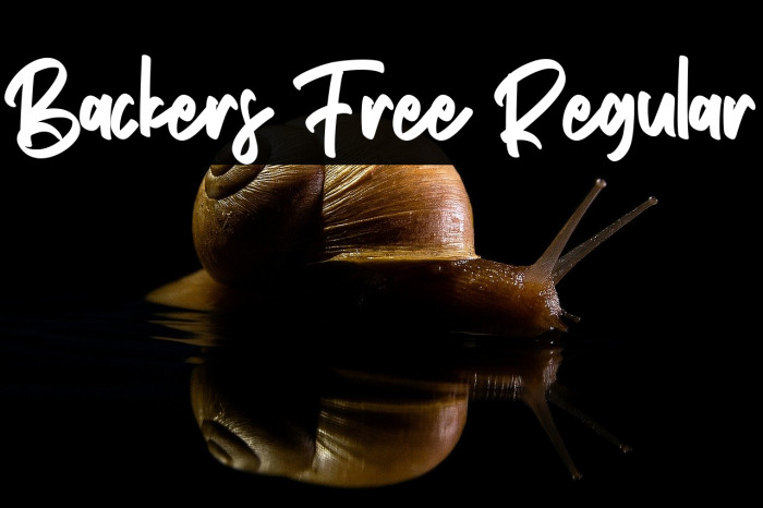 Backers Free Regular Example 3