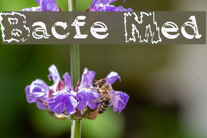 Backfire Medium Font examples
