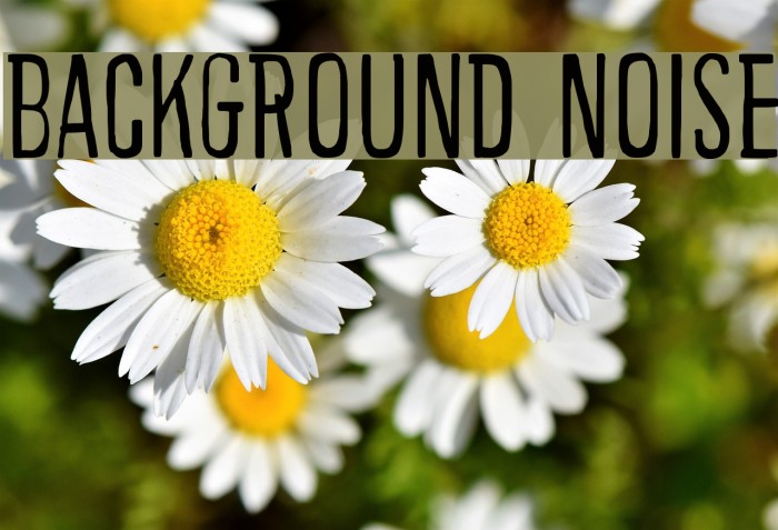 Background noise Font examples