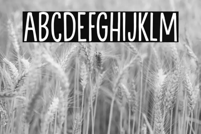 BackgroundEchoDEMO-Regular Example 1