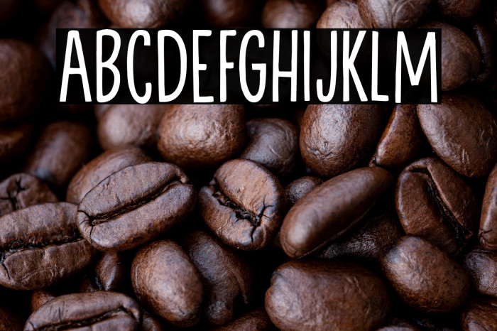 BackgroundEchoDEMO-Regular Example 3