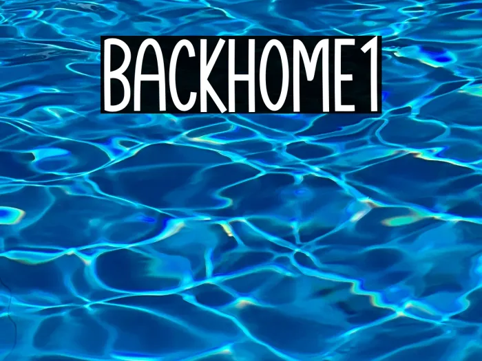 Backhome1 Example 1
