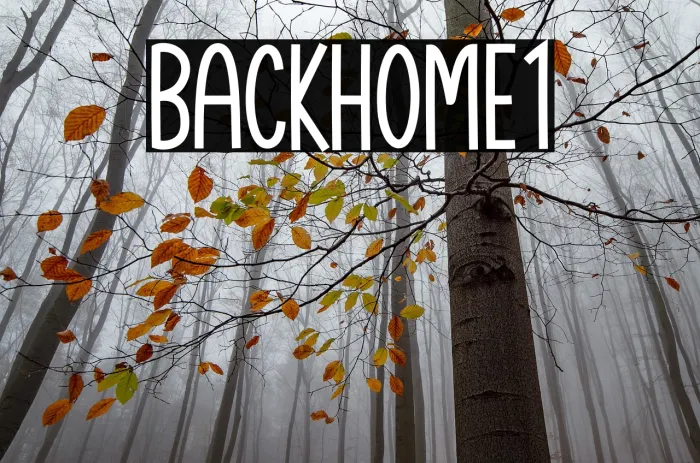 Backhome1 Example 2