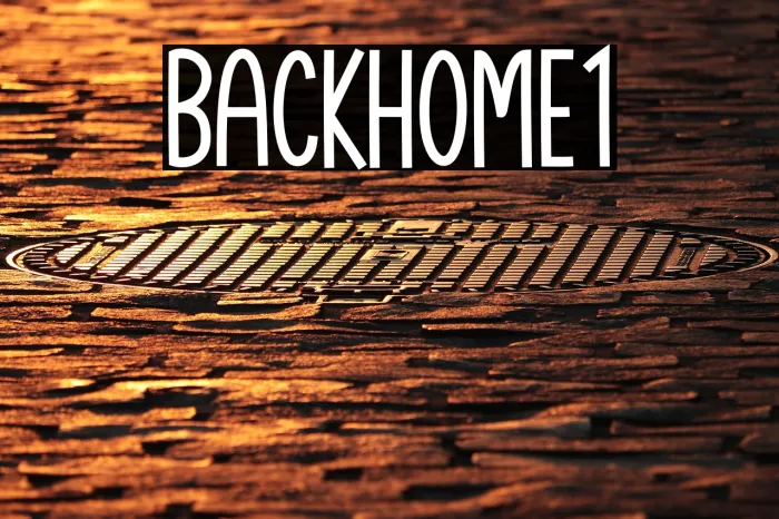 Backhome1 Example 3