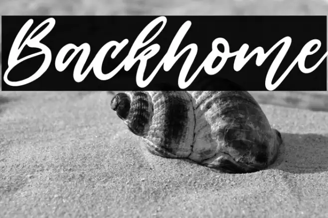Backhome Example 1