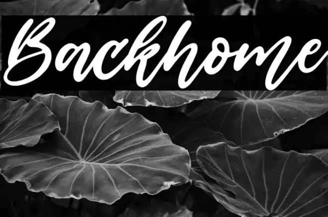 Backhome Example 3
