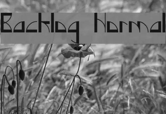 Backlog Normal Schriftart examples