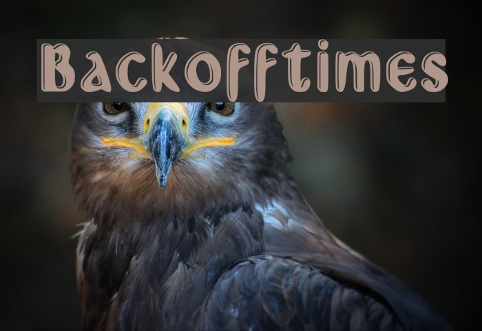 Backoff_times Font examples