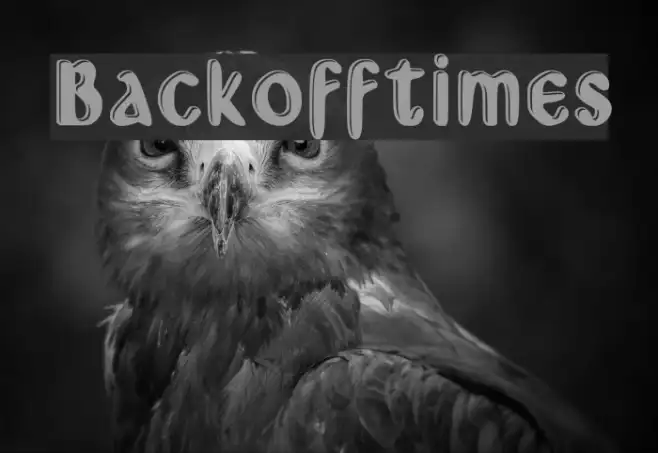 Backoff_times Example 2