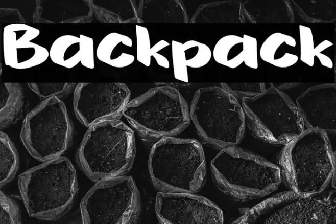 Backpack Example 1