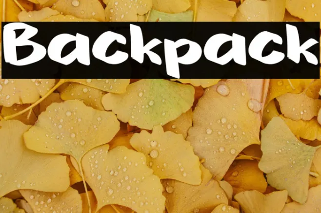 Backpack Example 2