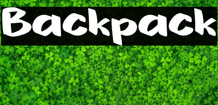 Backpack Example 3