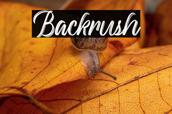 Backrush Example 3