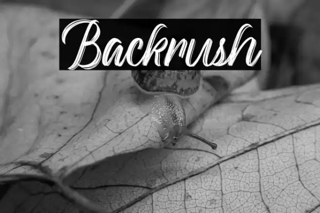 Backrush Font examples