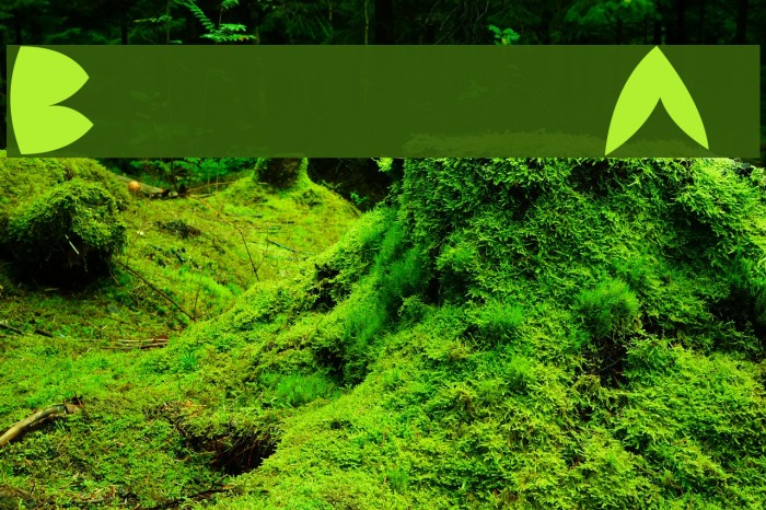 Backside Air Example 2