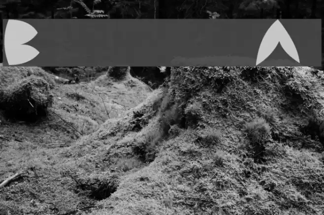 Backside Air Font examples