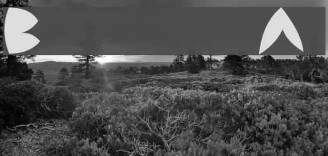 Backside Air Font examples