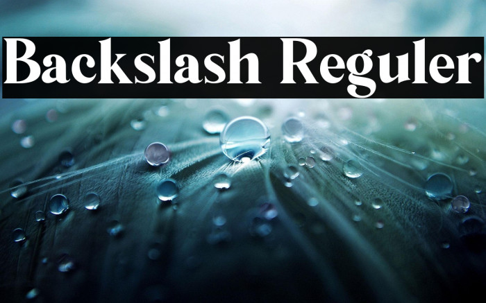 Backslash Reguler Example 2