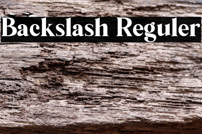 Backslash Reguler Example 3