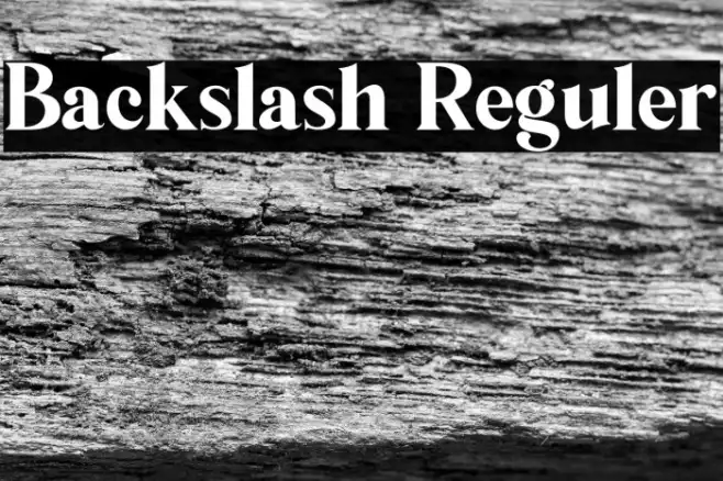 Backslash Reguler Example 3