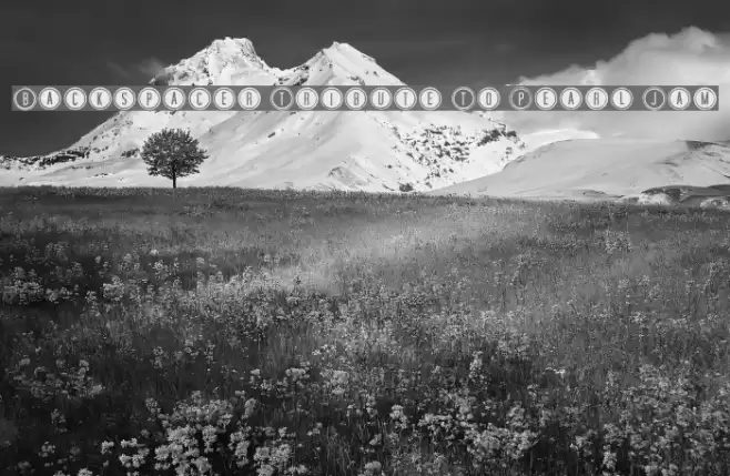 Backspacer Tribute To Pearl Jam Font examples