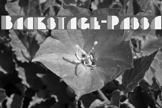 Backstage-PassA Font examples