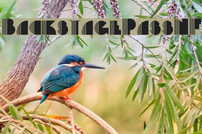 BackstagePassNF Example 2