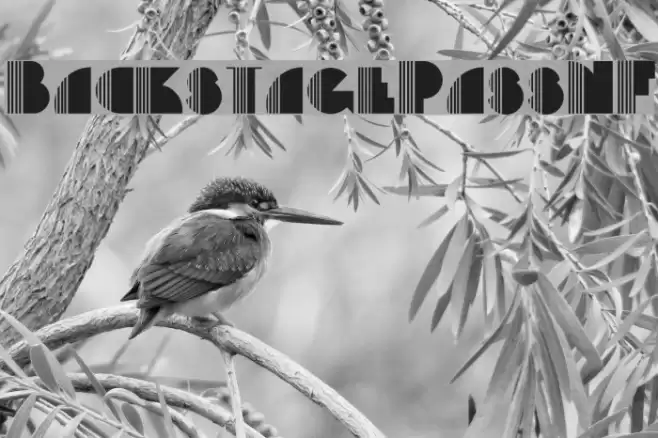 BackstagePassNF Font examples