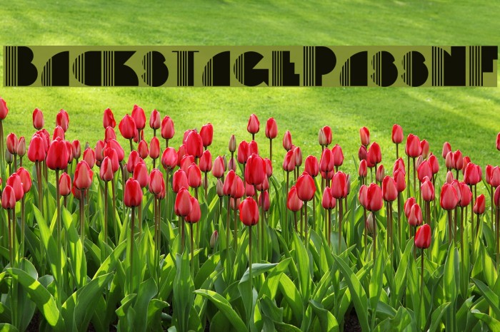 BackstagePassNF Example 3