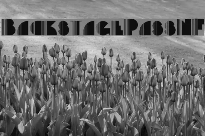 BackstagePassNF Font examples