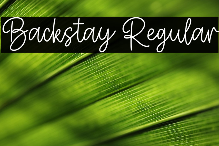 Backstay Regular Example 1