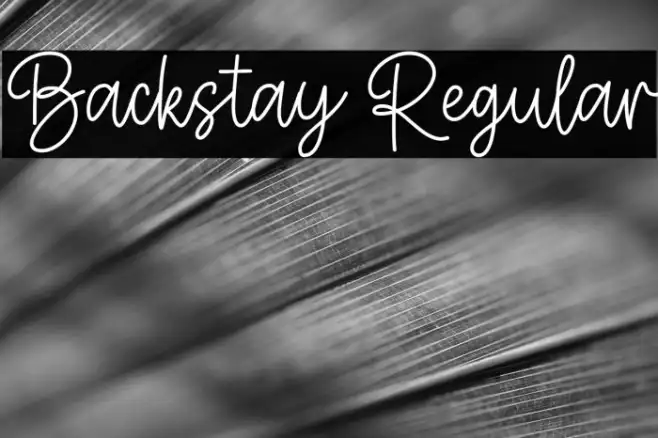 Backstay Regular Example 1
